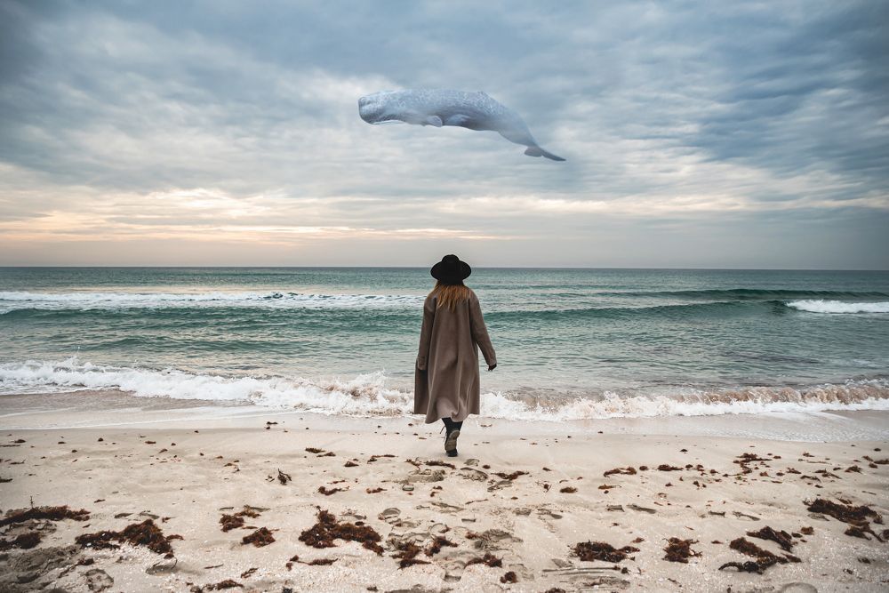 Photograph by Ekaterina Verbitskaya