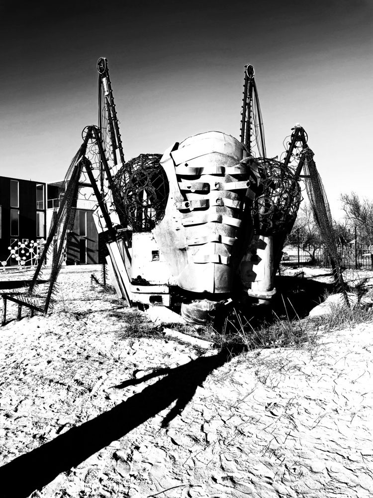 Photograph by Ekaterina Verbitskaya