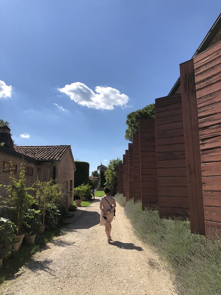 Photograph by Samantha Degrassi