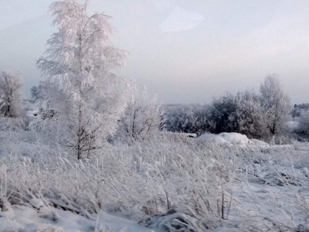 Photograph by Татьяна