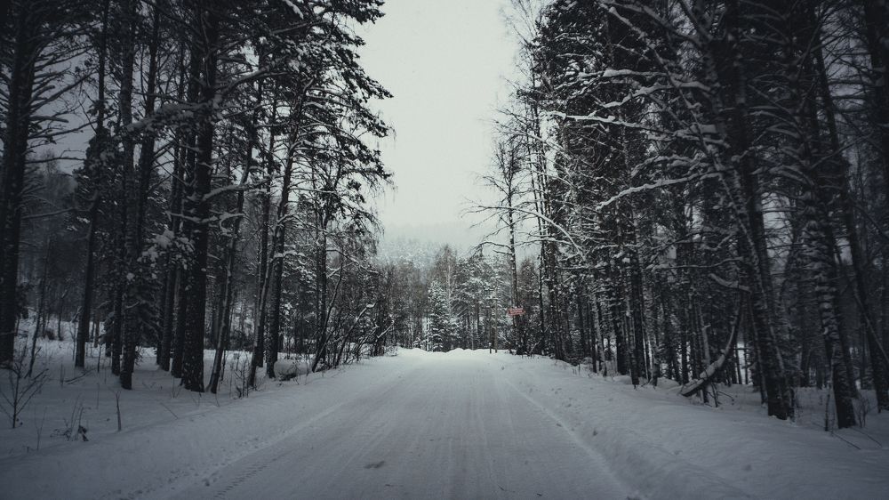 Photograph by Александр Елисеенко