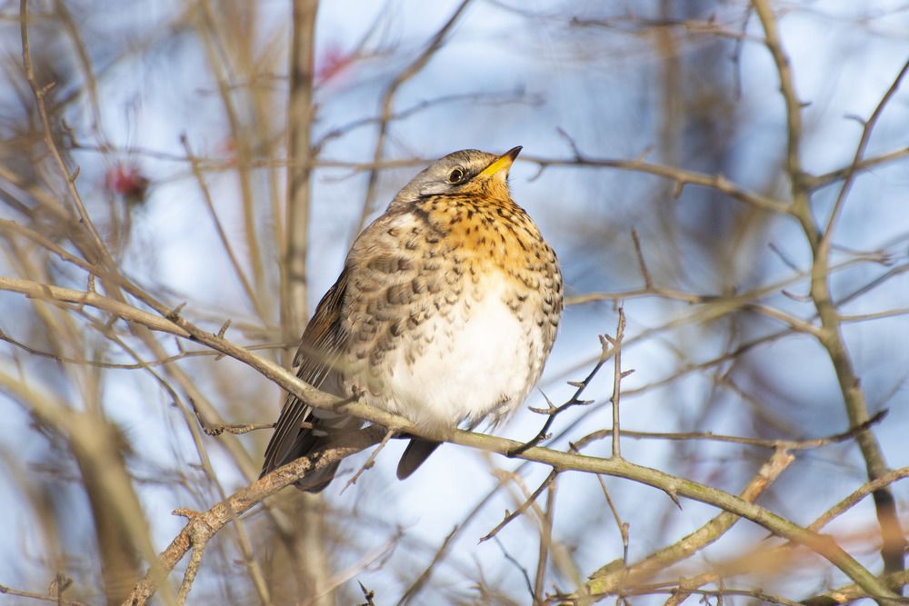 Photograph by Мария Долбич