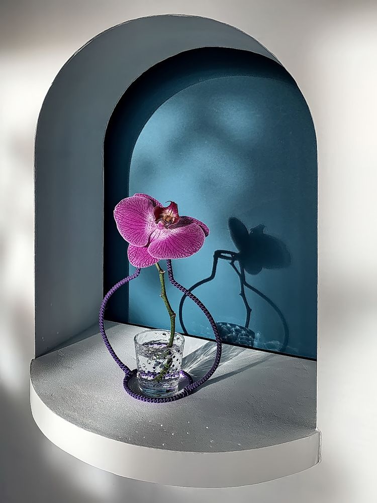 Photograph by Людмила Ефремова