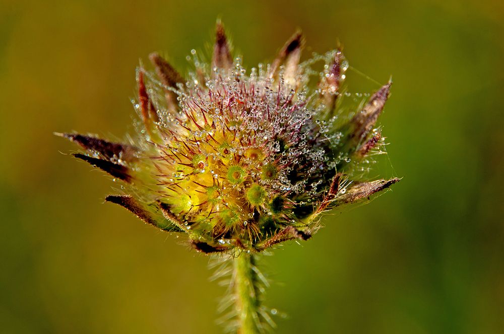 Photograph by Александр Козин