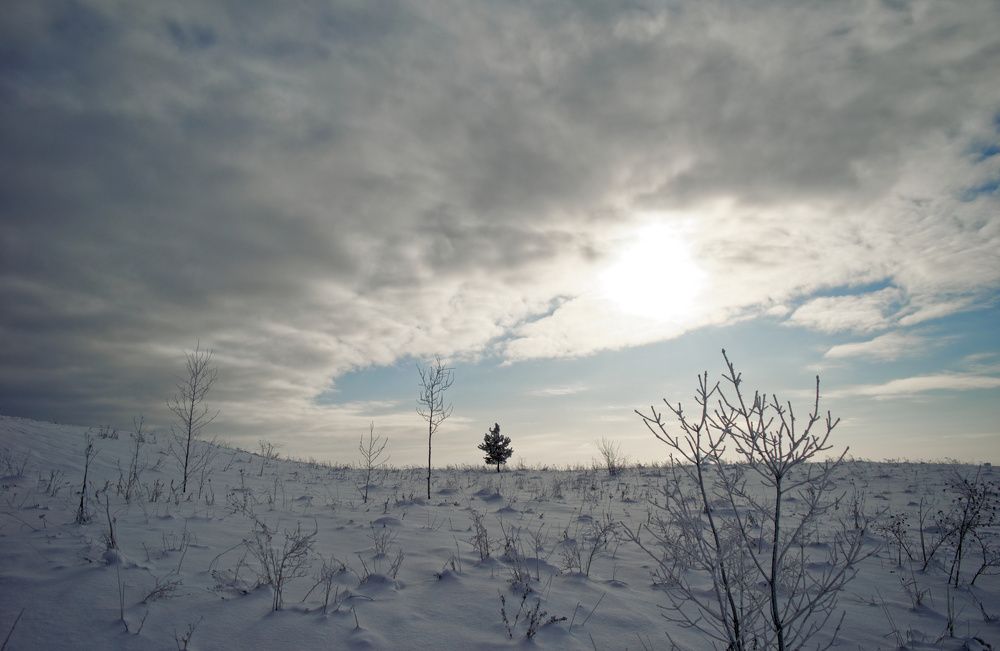 Photograph by Цветков Владимир