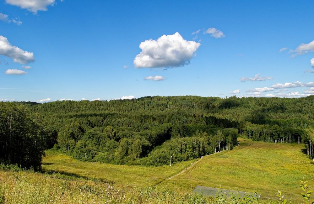 Photograph by Цветков Владимир