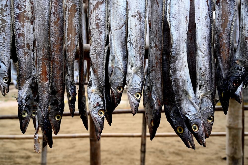 Photograph by Mumtahina Rahman