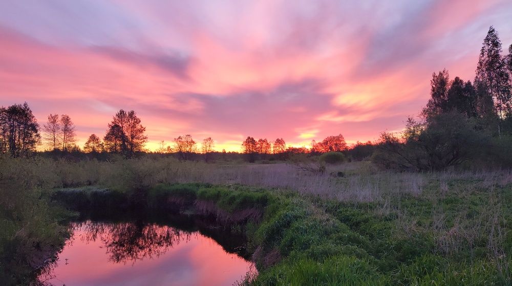 Photograph by Ольга Марданова