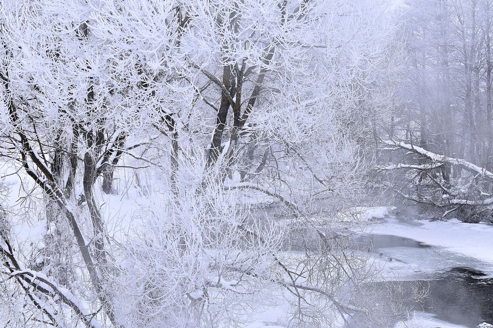 Photograph by Alexey Smal