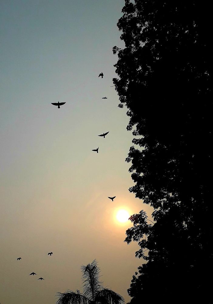 Photograph by bhardwaj vipin