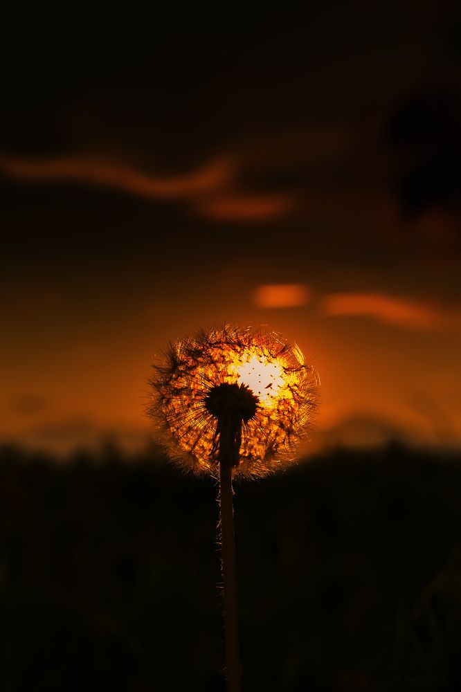 Я здесь один... I'm here alone...