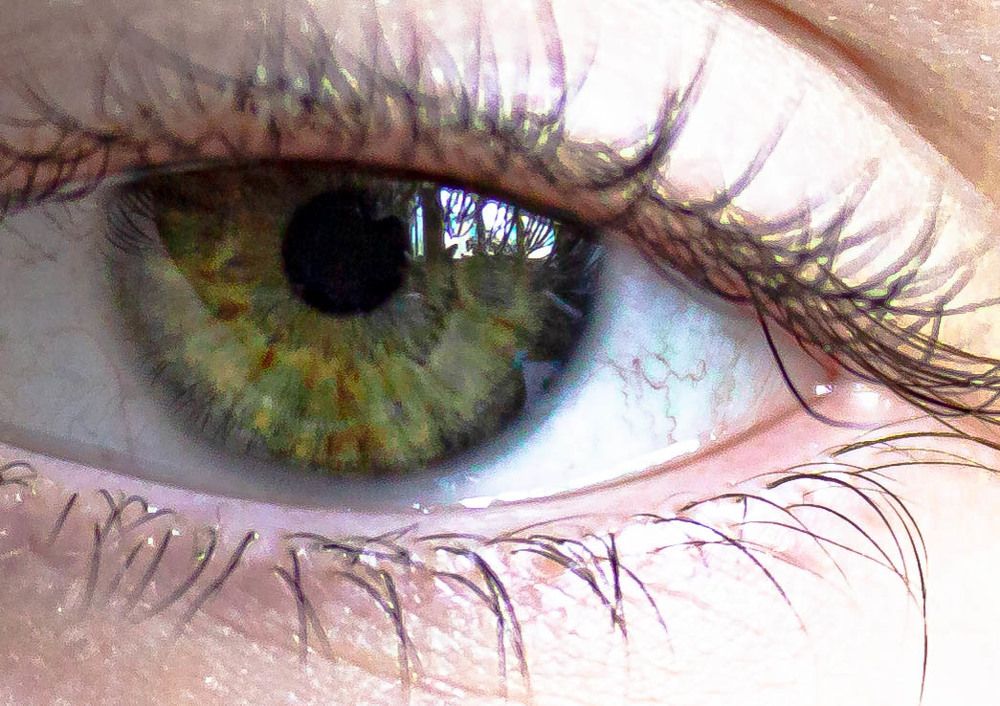 Человек и кошка