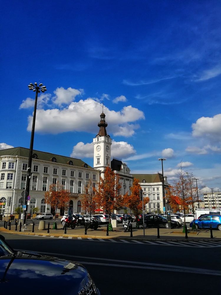 Photo #5701041