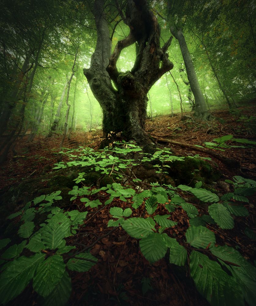 Photograph by Filip Hrebenda