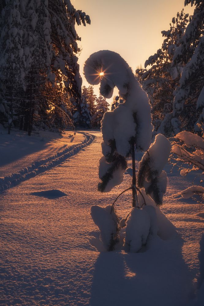 Photograph by Елена Лебедева