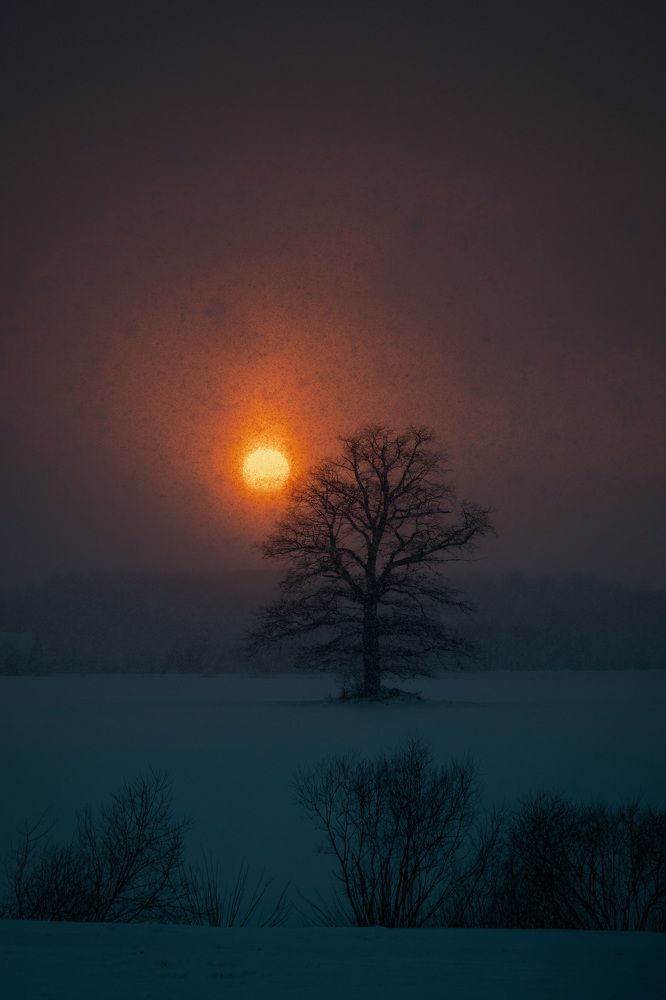 Photograph by Jānis Paļulis