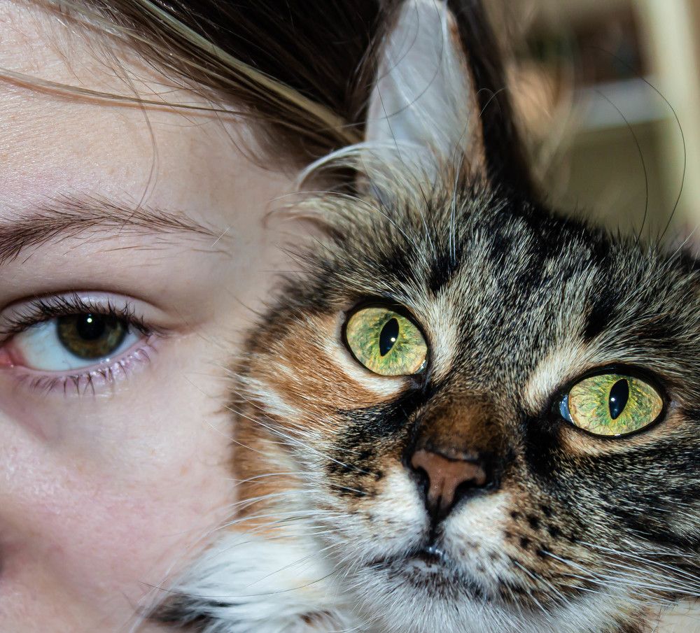 Мои глазастики