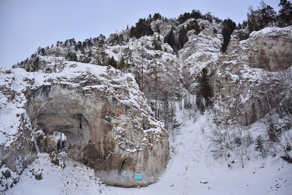 Photograph by Эльвира Быкова