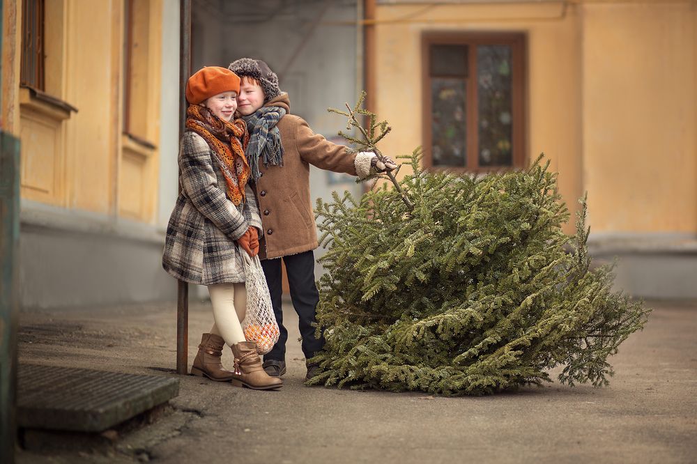 Пора наряжать елку