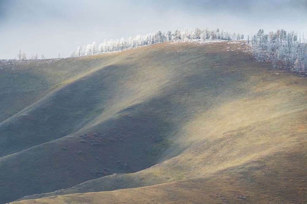 Photograph by Елена Лебедева