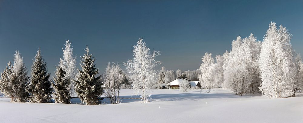 Снежная нежность