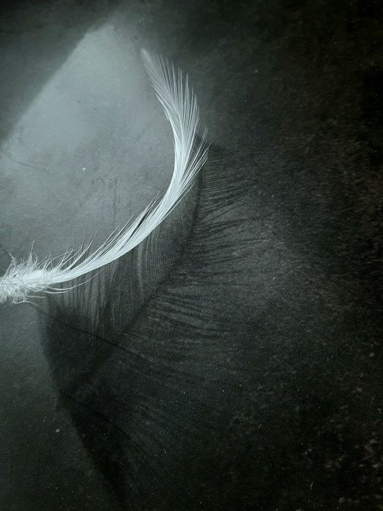 Photograph by Оксана Корепанова