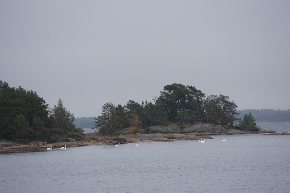 Photograph by олеся