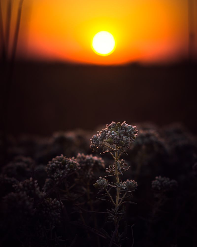 Photograph by Збруев Сергей