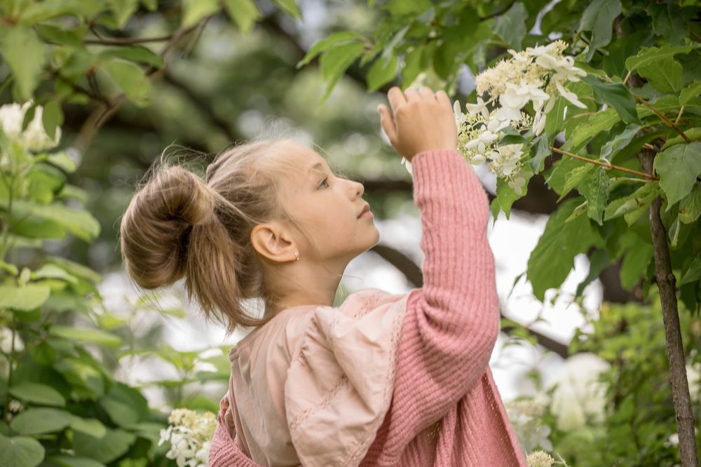 В поисках садовой феи