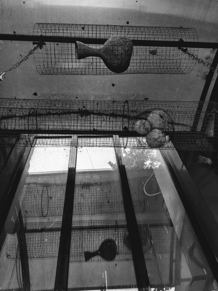 Photograph by Lilit Ghazareh