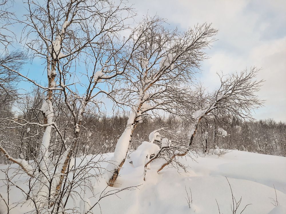 Photograph by Светлана Лебедева