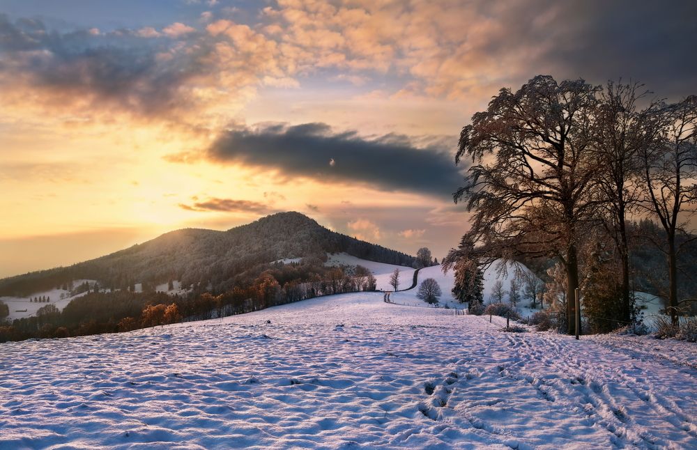 Photograph by Elena Wymann