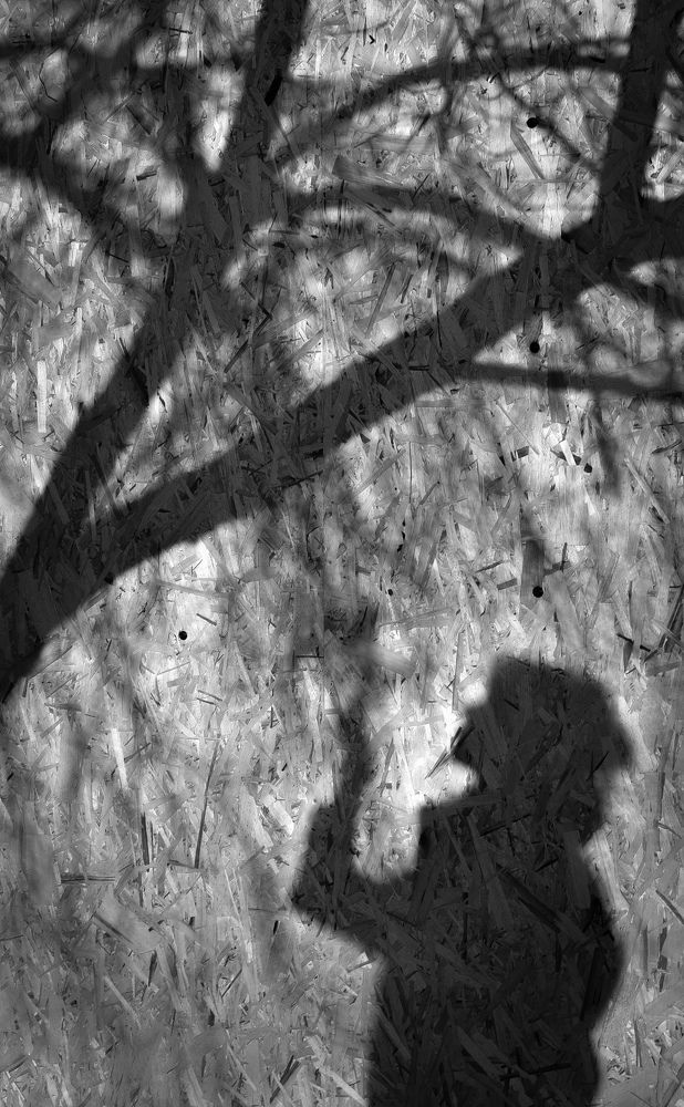 Photograph by Antonina Marchenko