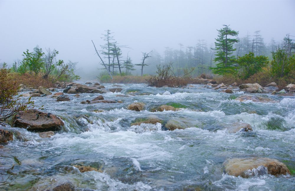 Туманное утро на бурной речке