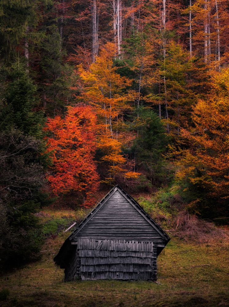 Surrounded by colours