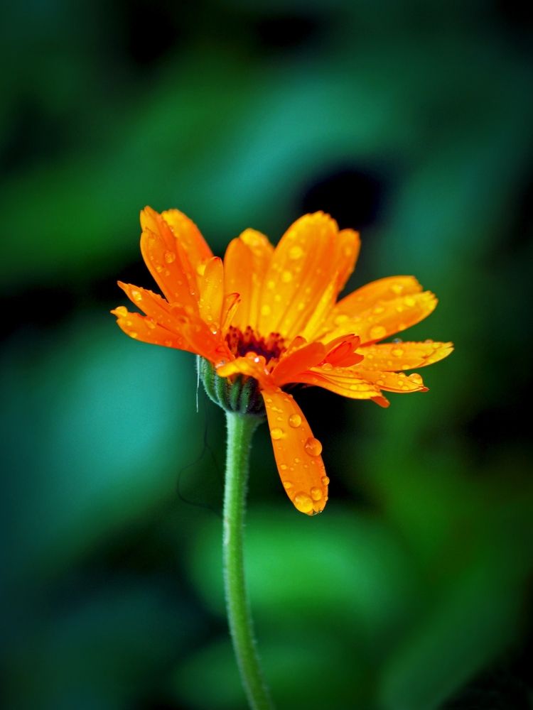 Photograph by Михаил Малец