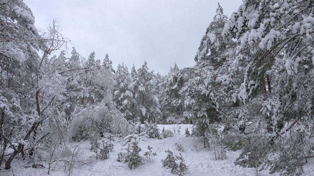 Photograph by Andreas Koff