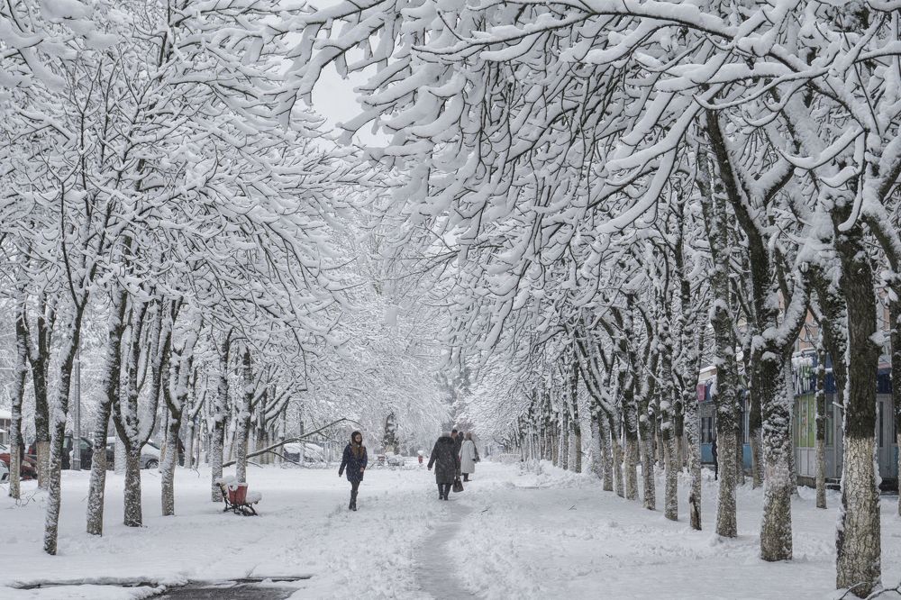 Photograph by Andreas Koff