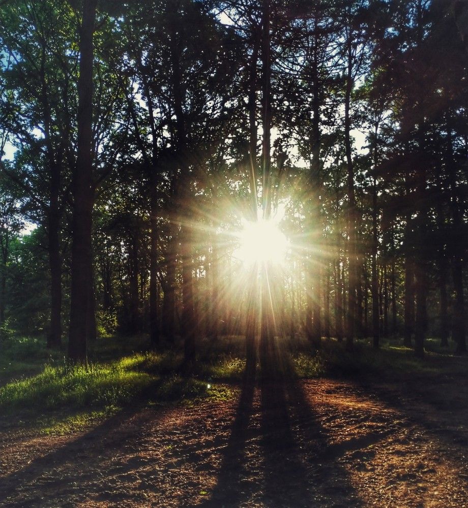 Photograph by Денис