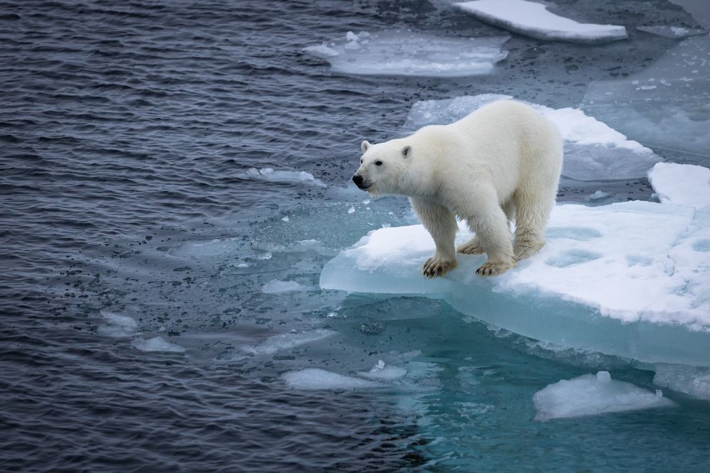 Photograph by Алексей Шматков