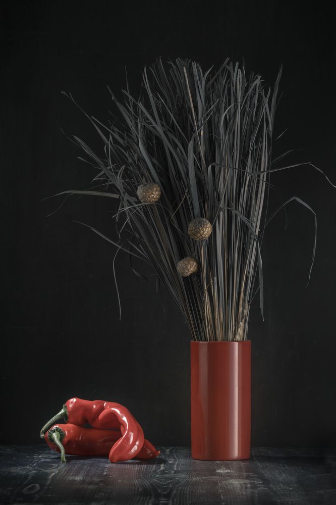 Photograph by Juris Kraulis