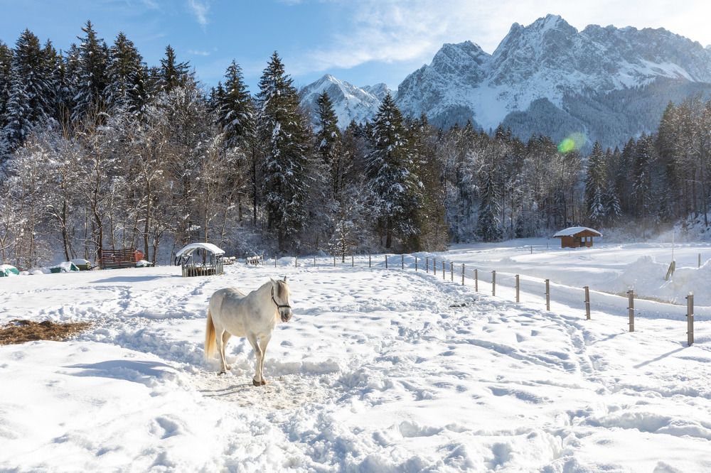 Photograph by Евгения Чех