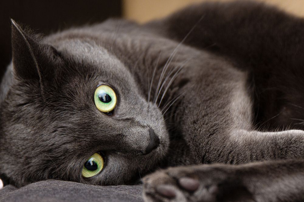 Photograph by Юрий Карпенко