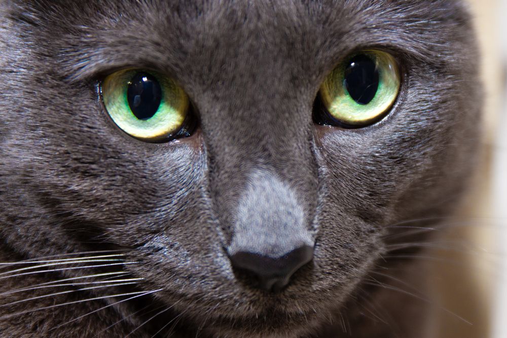 Photograph by Юрий Карпенко