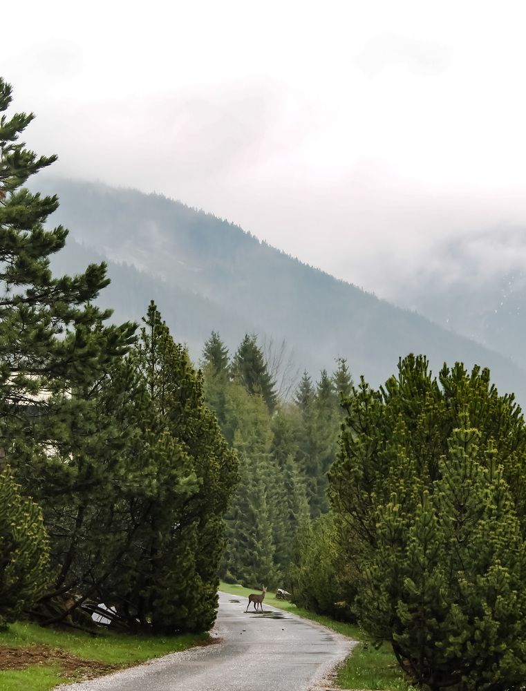 Photograph by Elizaveta Semenova