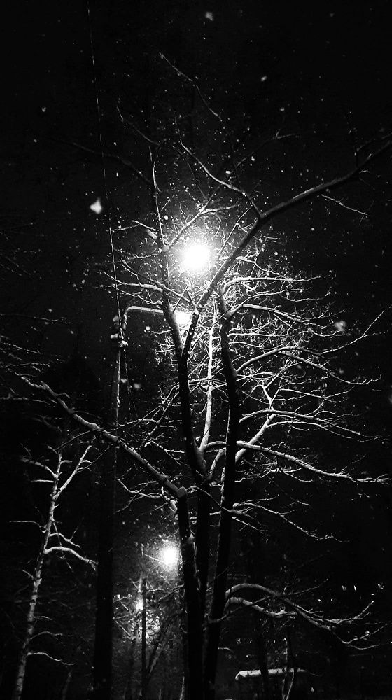 Photograph by Ирина Никитина