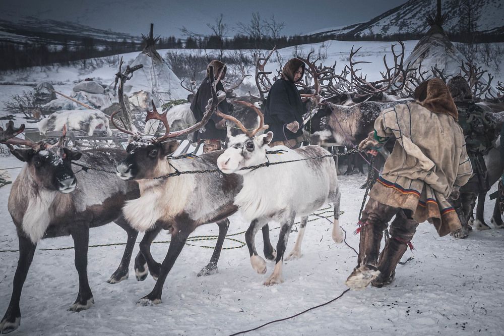 Photograph by Марина Маликова