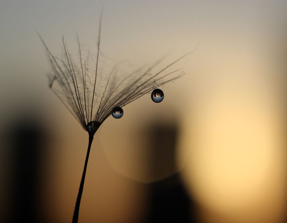 Фотография автора Анна Кравченко