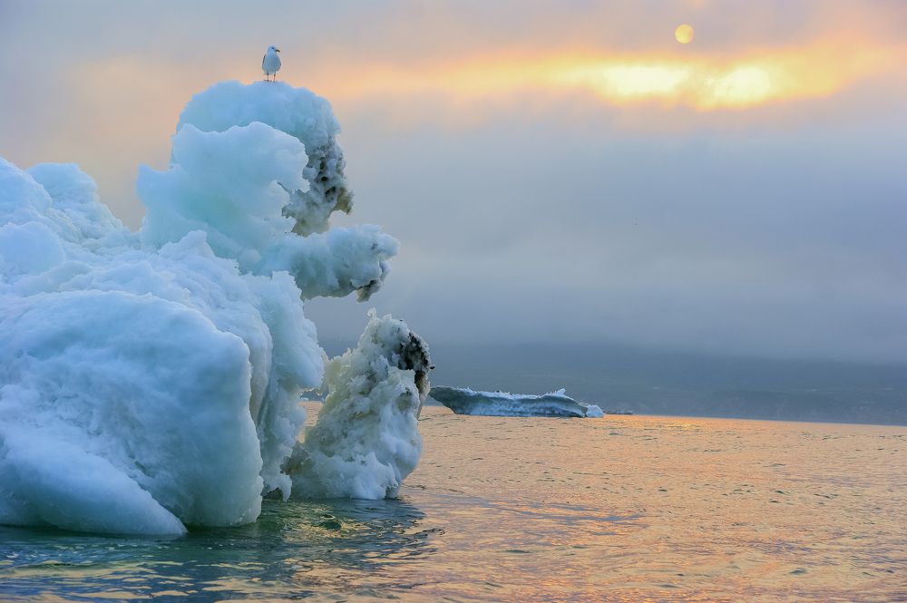 Охотский айсберг