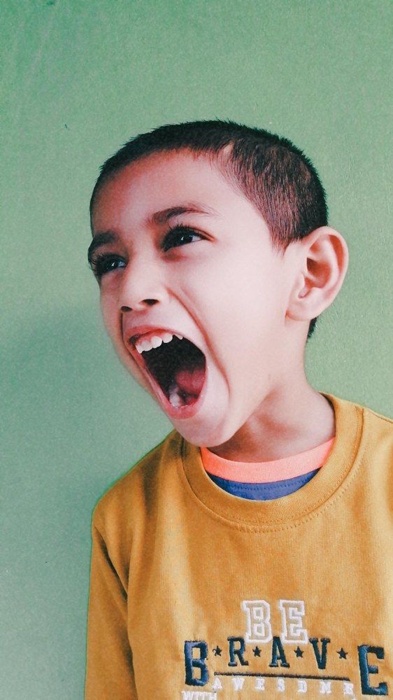 Фотография автора Shahed Zakir Opi